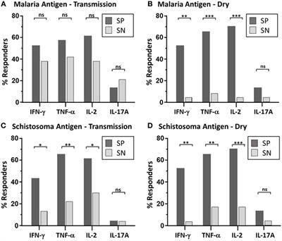 Long-term Maintenance of CD4 T Cell Memory Responses to Malaria Antigens in Malian Children Coinfected with Schistosoma haematobium